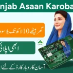 CM Punjab Asaan Karobar Card AKC