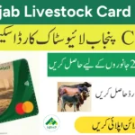 CM Punjab Livestock Card Scheme